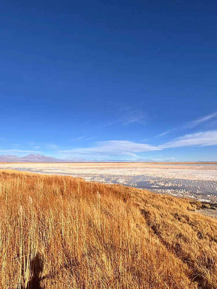 Laguna Cejar