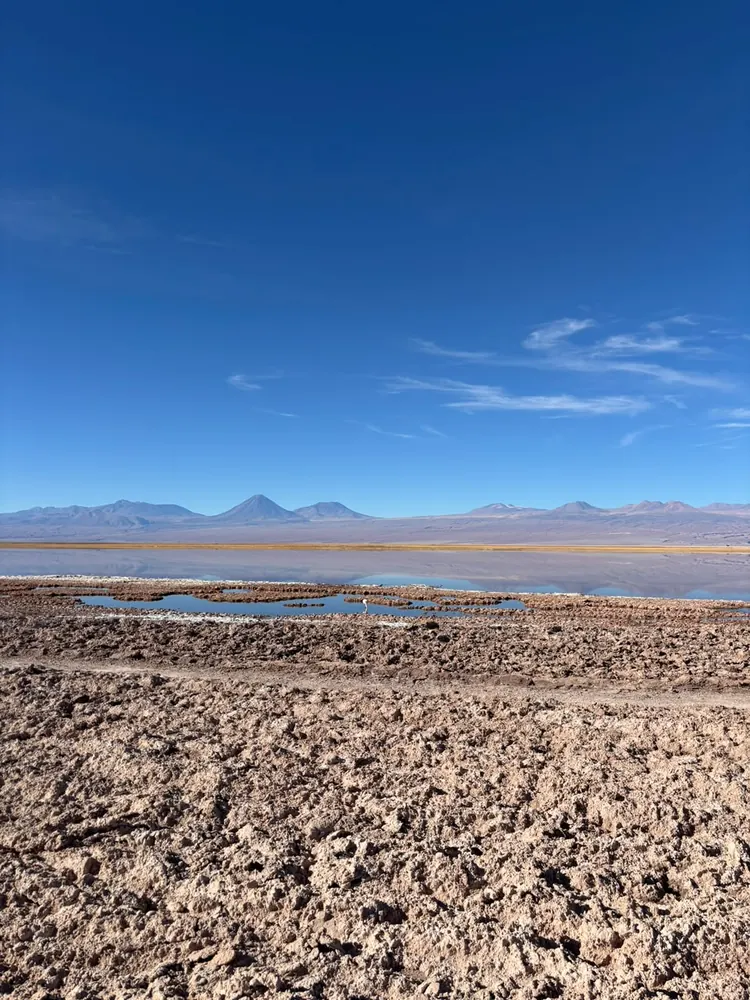 Lagunas Altiplânicas e flamingos